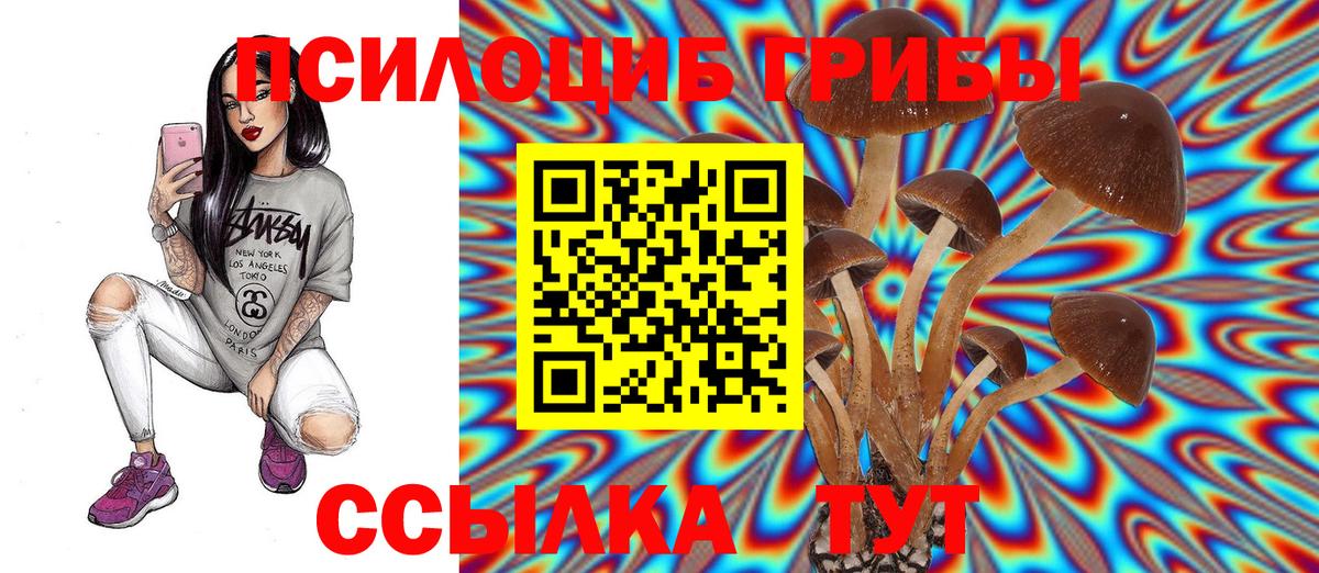 Мелеуз  Псилоцибиновые грибы мицелий  где можно купить наркотик  Вход с VPN  Галлюциногенные грибы GOLDEN TEACHER 